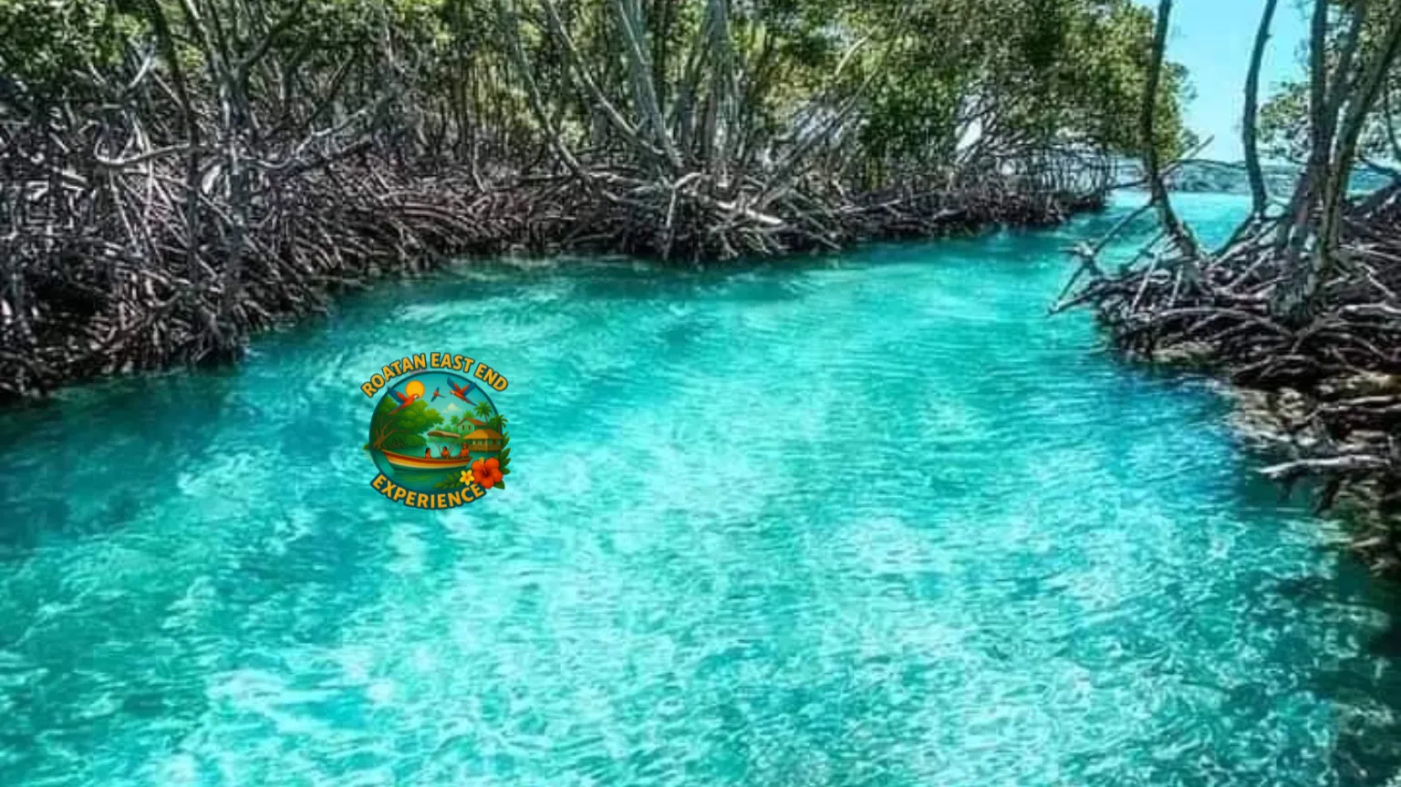Eco-Adventure