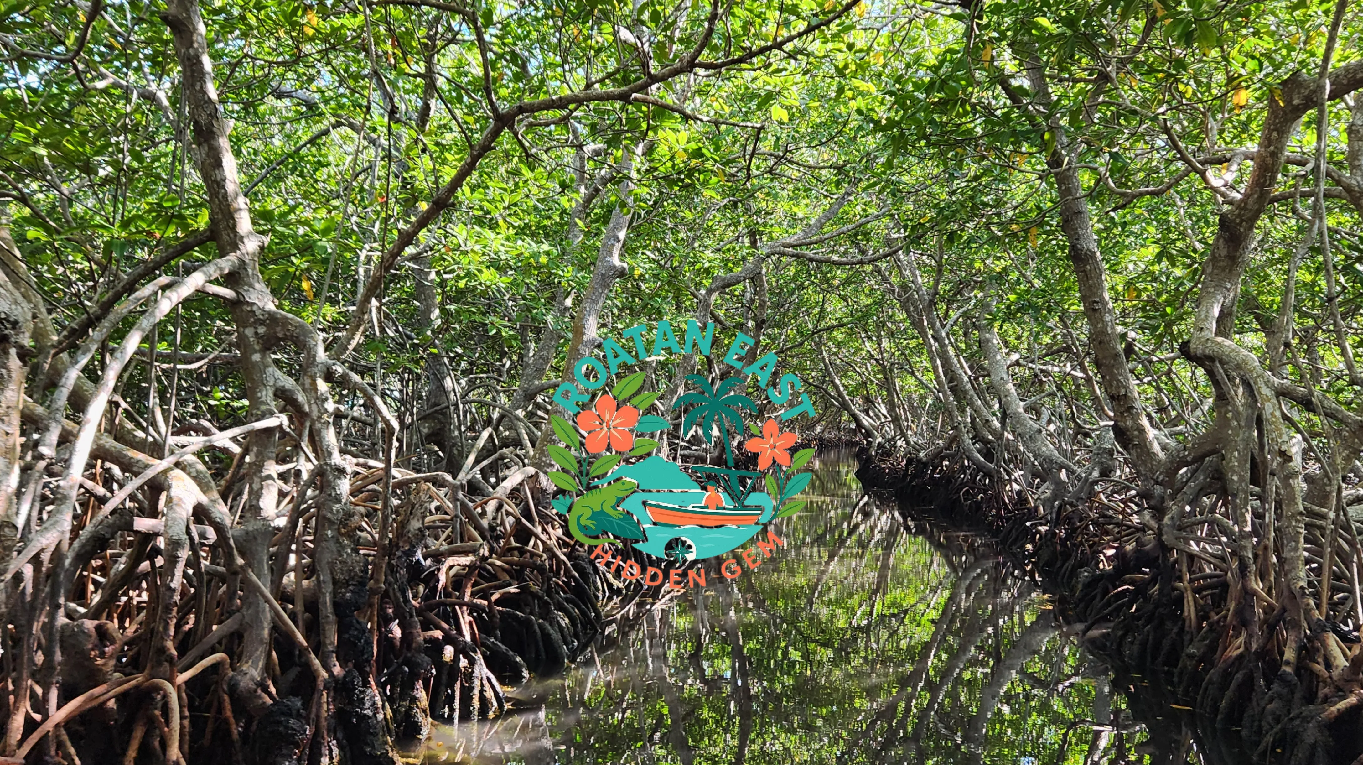 Mangrove Sunset